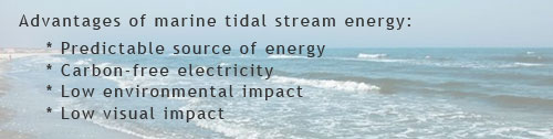 Advantages of tidal energy